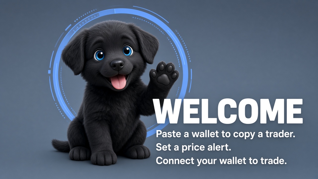Welcome: paste a wallet to copy a trader, set a price alert, connect your wallet to trade
